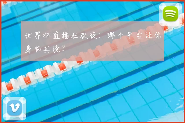 世界杯直播狂欢夜：哪个平台让你身临其境？