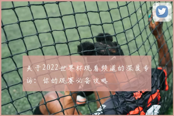 关于2022世界杯观看频道的深度专访：你的观赛必备攻略
