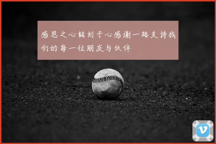 感恩之心铭刻于心感谢一路支持我们的每一位朋友与伙伴