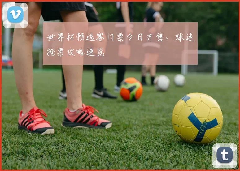 世界杯预选赛门票今日开售，球迷抢票攻略速览
