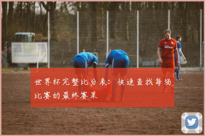 世界杯完整比分表：快速查找每场比赛的最终赛果