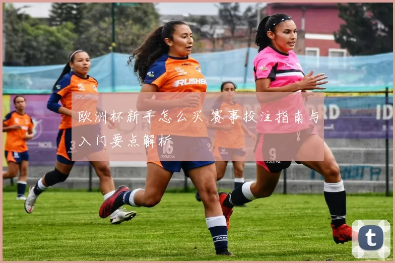 欧洲杯新手怎么买 赛事投注指南与入门要点解析