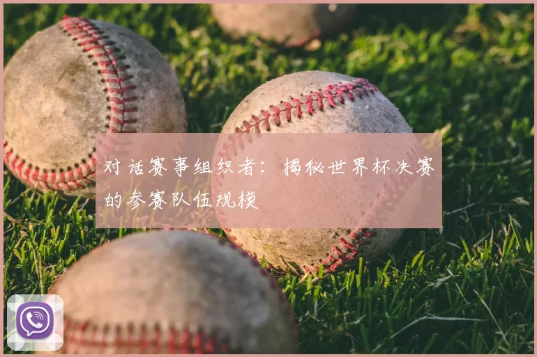 对话赛事组织者：揭秘世界杯决赛的参赛队伍规模