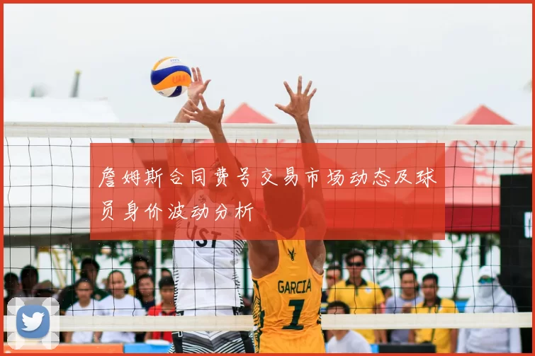 詹姆斯合同费号交易市场动态及球员身价波动分析