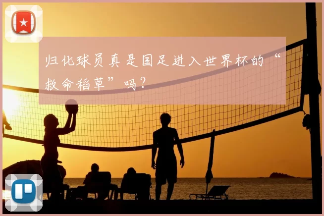 归化球员真是国足进入世界杯的“救命稻草”吗?