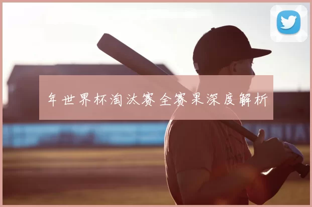 年世界杯淘汰赛全赛果深度解析