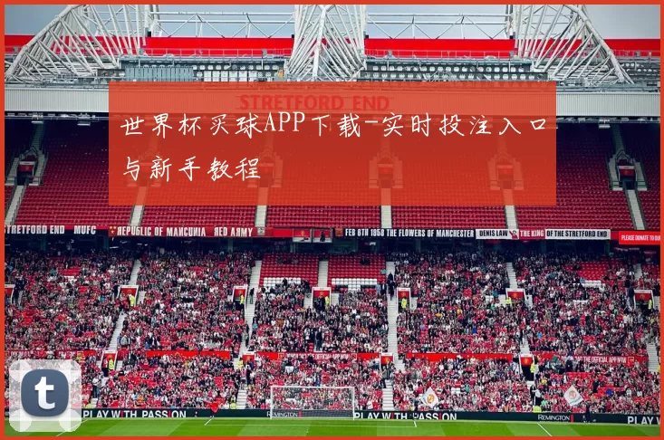 世界杯买球APP下载-实时投注入口与新手教程