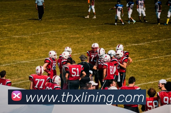 App Interface Preview